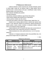 Biznesa plāns 'Preču piegāde', 5.