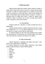 Biznesa plāns 'Preču piegāde', 9.