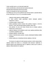 Biznesa plāns 'Preču piegāde', 10.