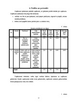 Biznesa plāns 'Preču piegāde', 14.