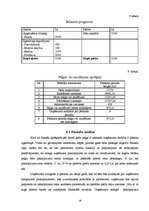 Biznesa plāns 'Preču piegāde', 19.