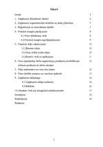 Prakses atskaite 'Profesionālās prakses pārskats', 2.