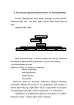 Prakses atskaite 'Profesionālās prakses pārskats', 5.