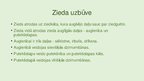 Prezentācija 'Augu klasifikācija', 21.