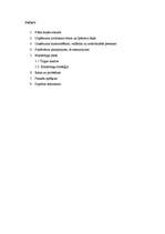 Biznesa plāns 'Biznesa plāns atpūtas kompleksam', 2.