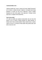 Biznesa plāns 'Biznesa plāns atpūtas kompleksam', 5.