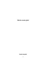 Prakses atskaite 'Prakses atskaite sākumskolā', 7.