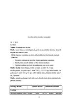 Prakses atskaite 'Prakses atskaite sākumskolā', 15.