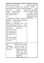 Prakses atskaite 'Prakses atskaite sākumskolā', 17.