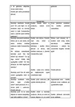 Prakses atskaite 'Prakses atskaite sākumskolā', 20.