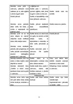 Prakses atskaite 'Prakses atskaite sākumskolā', 21.