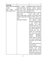 Prakses atskaite 'Prakses atskaite sākumskolā', 23.