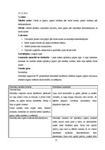 Prakses atskaite 'Prakses atskaite sākumskolā', 25.