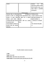 Prakses atskaite 'Prakses atskaite sākumskolā', 31.