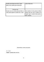 Prakses atskaite 'Prakses atskaite sākumskolā', 33.