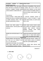 Prakses atskaite 'Prakses atskaite sākumskolā', 35.