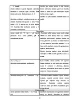 Prakses atskaite 'Prakses atskaite sākumskolā', 39.