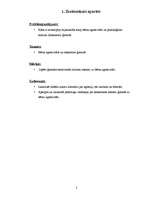 Referāts 'Bērna agresivitāte un saskarsme ģimenē', 2.