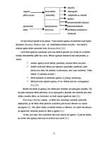 Referāts 'Bērna agresivitāte un saskarsme ģimenē', 17.