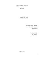 Biznesa plāns 'Biznesa plāns', 1.