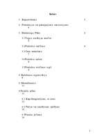 Biznesa plāns 'Biznesa plāns', 2.