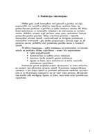 Biznesa plāns 'Biznesa plāns', 5.