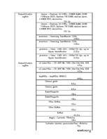 Biznesa plāns 'Biznesa plāns', 16.