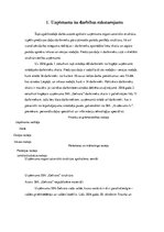 Referāts 'Uzņēmuma SIA "Gelvora" investīcijas projekta analīze', 5.