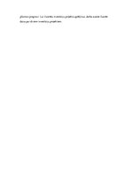 Referāts 'Uzņēmuma SIA "Gelvora" investīcijas projekta analīze', 13.