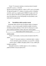 Referāts 'Uzņēmuma SIA "Gelvora" investīcijas projekta analīze', 18.