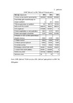 Referāts 'Uzņēmuma SIA "Gelvora" investīcijas projekta analīze', 23.