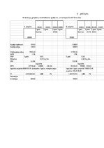 Referāts 'Uzņēmuma SIA "Gelvora" investīcijas projekta analīze', 25.