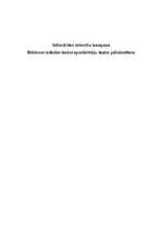 Referāts 'Sabiedrisko attiecību kampaņa "Baldones mākslas skolas apmeklētāju skaita paliel', 1.