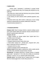 Referāts 'Sabiedrisko attiecību kampaņa "Baldones mākslas skolas apmeklētāju skaita paliel', 5.