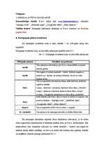 Referāts 'Sabiedrisko attiecību kampaņa "Baldones mākslas skolas apmeklētāju skaita paliel', 6.