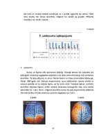 Referāts 'Cilvēka atmiņa', 11.