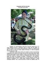 Referāts 'Senie viduslaiku mūzikas instrumenti', 1.