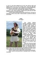 Referāts 'Senie viduslaiku mūzikas instrumenti', 5.