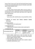 Prakses atskaite 'Prakse personāla atlases kompānijā', 6.