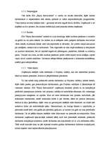 Prakses atskaite 'Prakse personāla atlases kompānijā', 10.