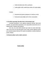 Prakses atskaite 'Prakse personāla atlases kompānijā', 13.