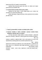 Prakses atskaite 'Prakse personāla atlases kompānijā', 23.