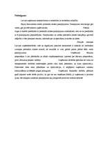 Prakses atskaite 'Prakse personāla atlases kompānijā', 26.