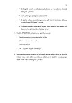 Prakses atskaite 'Kvalifikācijas prakse uzņēmumā "PF"', 32.