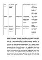 Referāts 'Autotirgus izveides mārketinga plāns', 6.