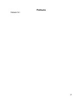 Referāts 'Alkohols vidusskolēnu vidū', 27.