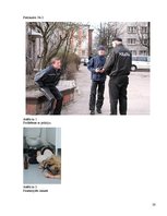 Referāts 'Alkohols vidusskolēnu vidū', 28.