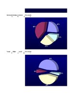 Referāts 'Alkohols vidusskolēnu vidū', 38.