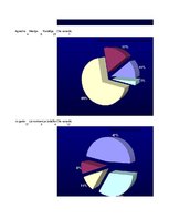 Referāts 'Alkohols vidusskolēnu vidū', 39.