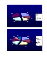 Referāts 'Alkohols vidusskolēnu vidū', 46.